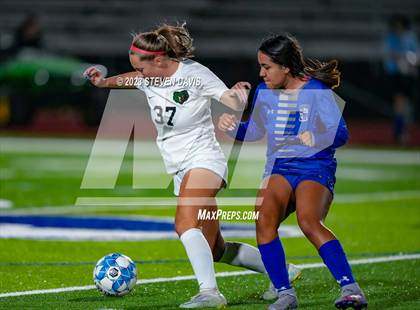 Thumbnail 1 in Basha @ Dobson photogallery.
