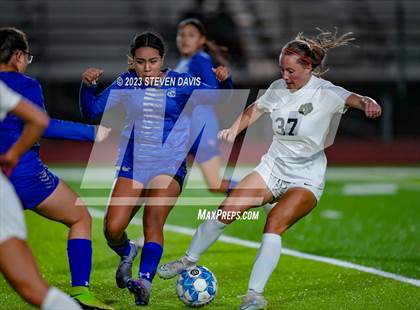 Thumbnail 2 in Basha @ Dobson photogallery.