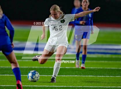 Thumbnail 1 in Basha @ Dobson photogallery.