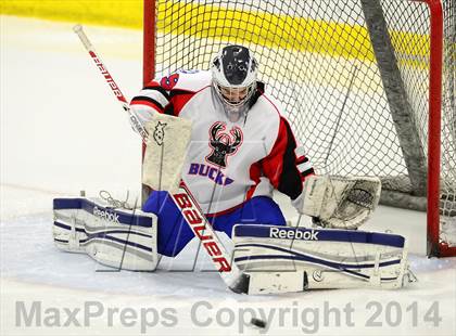 Thumbnail 1 in Newtown @ Smith/Tolland/Windham photogallery.