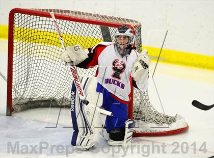 Thumbnail 2 in Newtown @ Smith/Tolland/Windham photogallery.