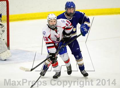 Thumbnail 1 in Newtown @ Smith/Tolland/Windham photogallery.