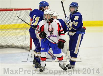 Thumbnail 3 in Newtown @ Smith/Tolland/Windham photogallery.