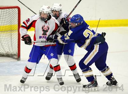 Thumbnail 2 in Newtown @ Smith/Tolland/Windham photogallery.