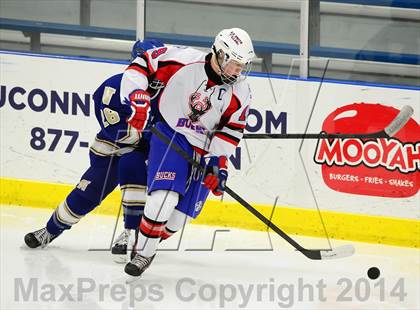 Thumbnail 1 in Newtown @ Smith/Tolland/Windham photogallery.