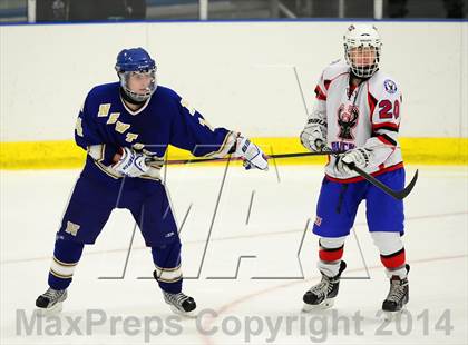Thumbnail 1 in Newtown @ Smith/Tolland/Windham photogallery.