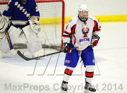 Thumbnail 1 in Newtown @ Smith/Tolland/Windham photogallery.