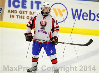 Thumbnail 1 in Newtown @ Smith/Tolland/Windham photogallery.