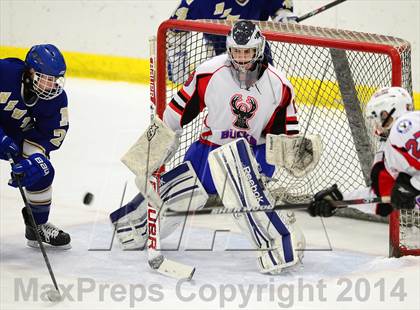 Thumbnail 1 in Newtown @ Smith/Tolland/Windham photogallery.