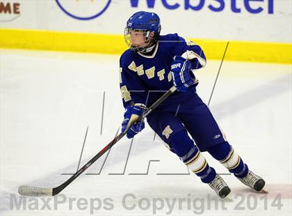 Thumbnail 3 in Newtown @ Smith/Tolland/Windham photogallery.