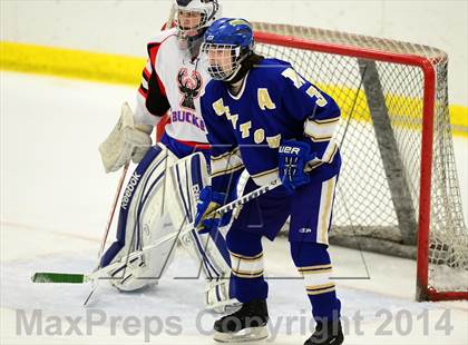 Thumbnail 1 in Newtown @ Smith/Tolland/Windham photogallery.
