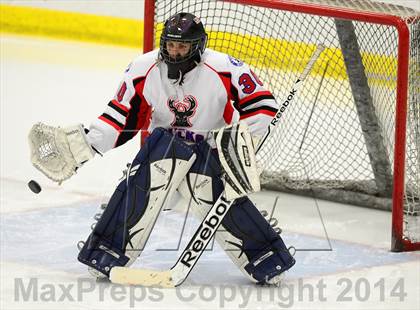 Thumbnail 3 in Newtown @ Smith/Tolland/Windham photogallery.