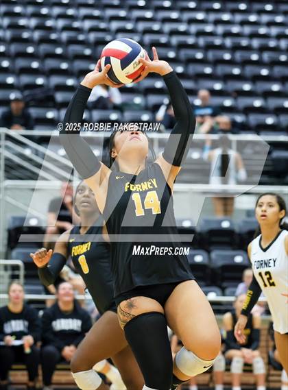 Thumbnail 3 in Forney vs Princeton (Raising Cane's Volleyball Showcase) photogallery.