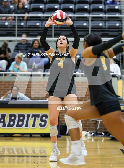 Thumbnail 3 in Forney vs Princeton (Raising Cane's Volleyball Showcase) photogallery.