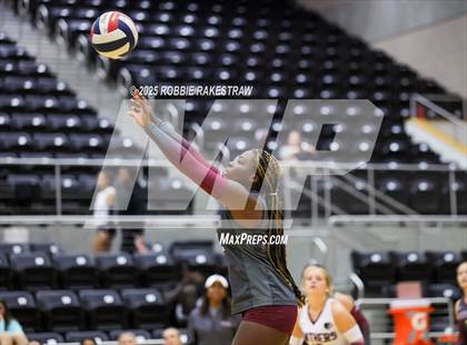 Thumbnail 3 in Forney vs Princeton (Raising Cane's Volleyball Showcase) photogallery.