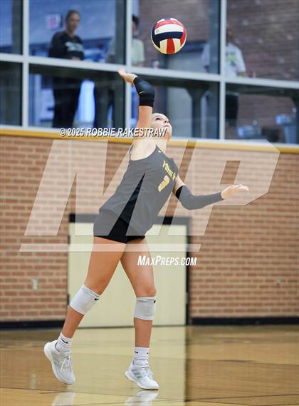 Thumbnail 3 in Forney vs Princeton (Raising Cane's Volleyball Showcase) photogallery.