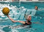 Photo from the gallery "North @ South"