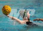 Photo from the gallery "North @ South"