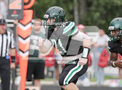 Thumbnail 1 in Springstead @ Weeki Wachee photogallery.