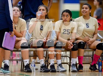 Thumbnail 3 in Bonita Vista @ Eastlake photogallery.