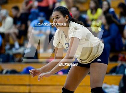 Thumbnail 3 in Bonita Vista @ Eastlake photogallery.