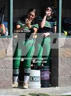 Photo from the gallery "Gans @ Gore"