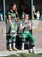 Photo from the gallery "Gans @ Gore"