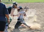 Photo from the gallery "Gans @ Gore"
