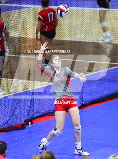 null - Photo 01