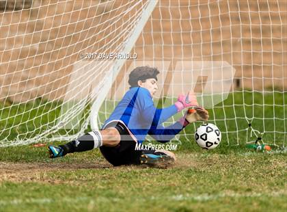 Thumbnail 1 in Arlington Catholic @ Matignon photogallery.