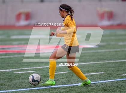 Thumbnail 1 in El Camino vs. Academy of Our Lady of Peace (CIF SDS D2 Final) photogallery.