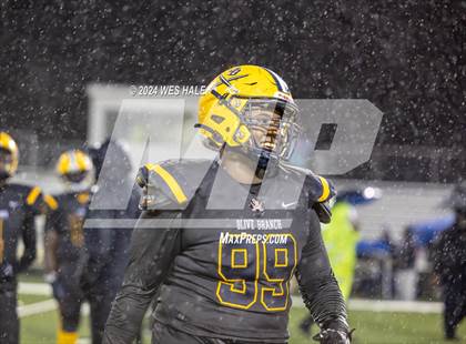 Thumbnail 3 in Olive Branch @ DeSoto Central photogallery.