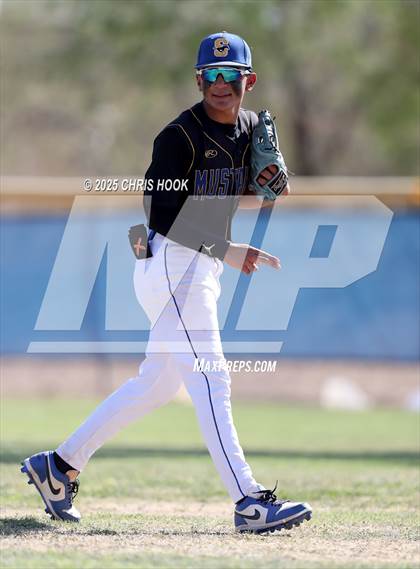 Thumbnail 3 in Cholla @ Sahuarita photogallery.