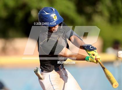 Thumbnail 2 in Cholla @ Sahuarita photogallery.