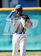 Photo from the gallery "Cholla @ Sahuarita"