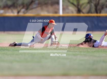 Thumbnail 1 in Cholla @ Sahuarita photogallery.