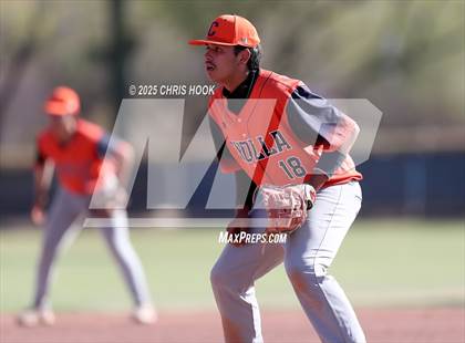 Thumbnail 1 in Cholla @ Sahuarita photogallery.
