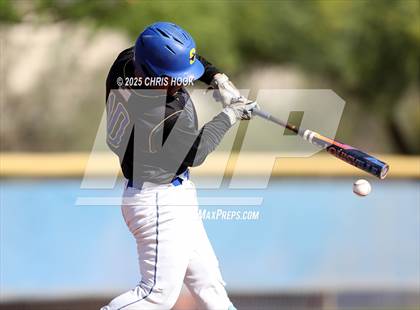 Thumbnail 3 in Cholla @ Sahuarita photogallery.