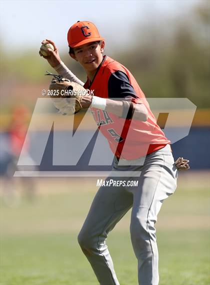 Thumbnail 3 in Cholla @ Sahuarita photogallery.