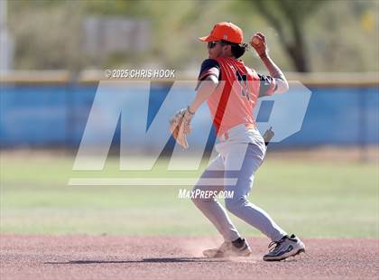 Thumbnail 2 in Cholla @ Sahuarita photogallery.