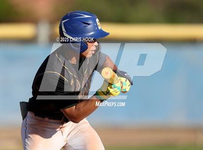 Thumbnail 1 in Cholla @ Sahuarita photogallery.