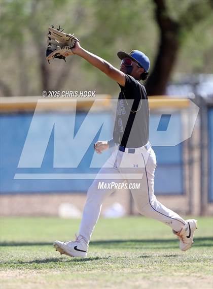 Thumbnail 3 in Cholla @ Sahuarita photogallery.