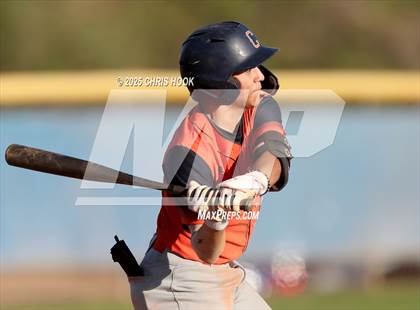 Thumbnail 3 in Cholla @ Sahuarita photogallery.