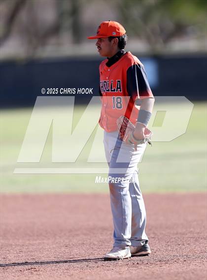 Thumbnail 3 in Cholla @ Sahuarita photogallery.