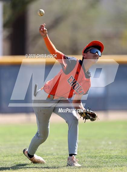 Thumbnail 1 in Cholla @ Sahuarita photogallery.