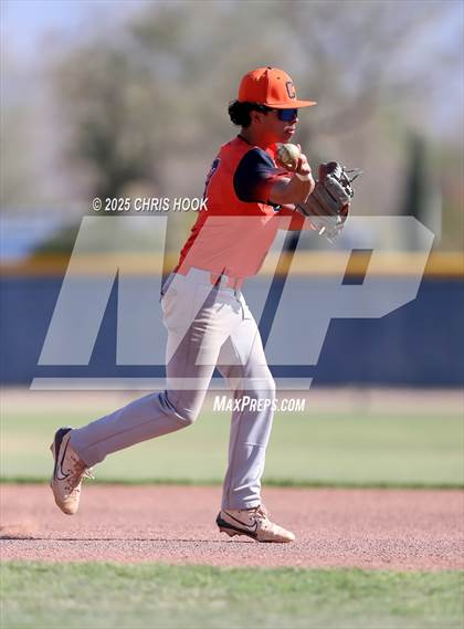 Thumbnail 3 in Cholla @ Sahuarita photogallery.