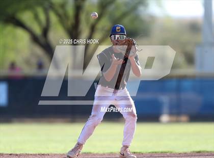 Thumbnail 2 in Cholla @ Sahuarita photogallery.