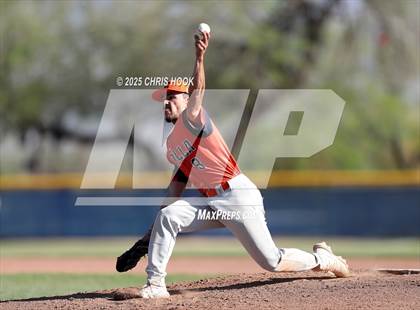 Thumbnail 3 in Cholla @ Sahuarita photogallery.