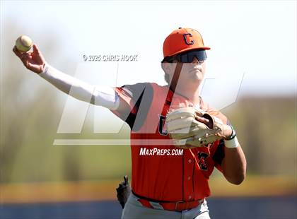 Thumbnail 3 in Cholla @ Sahuarita photogallery.