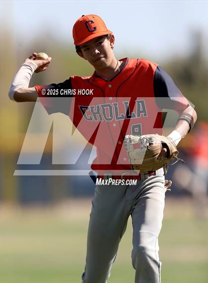 Thumbnail 2 in Cholla @ Sahuarita photogallery.